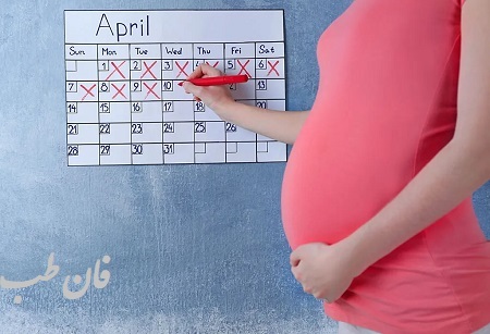 نامگذاری ماه های بارداری براساس رشد طبیعی جنین